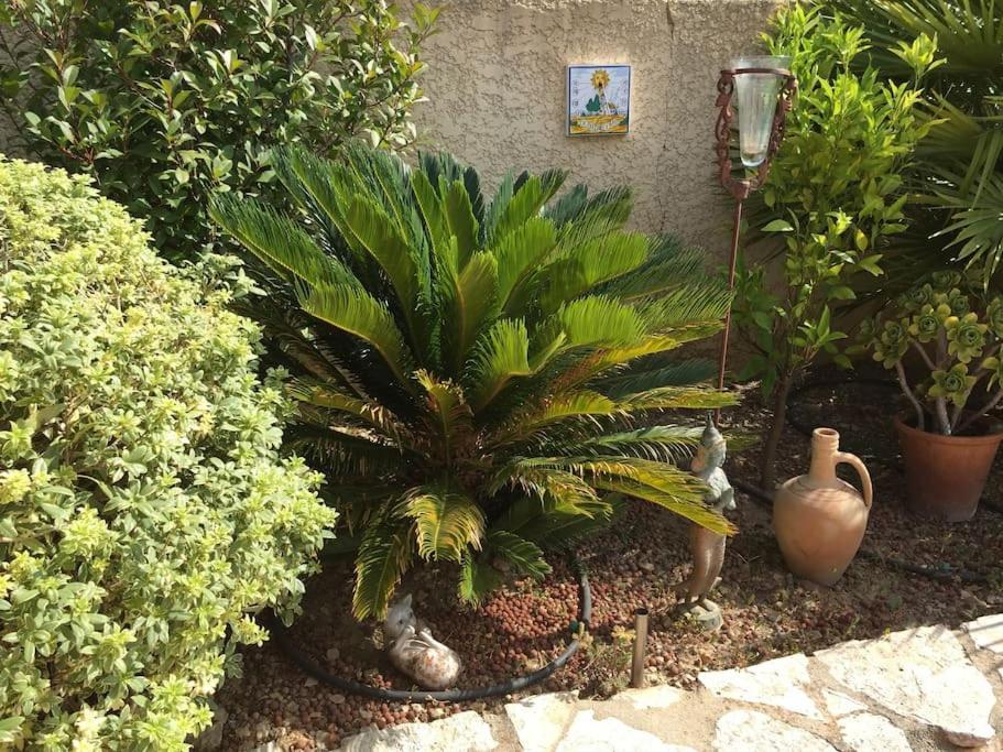 Villa Au Pied Du Massif Des Costes Pélissanne Exterior foto